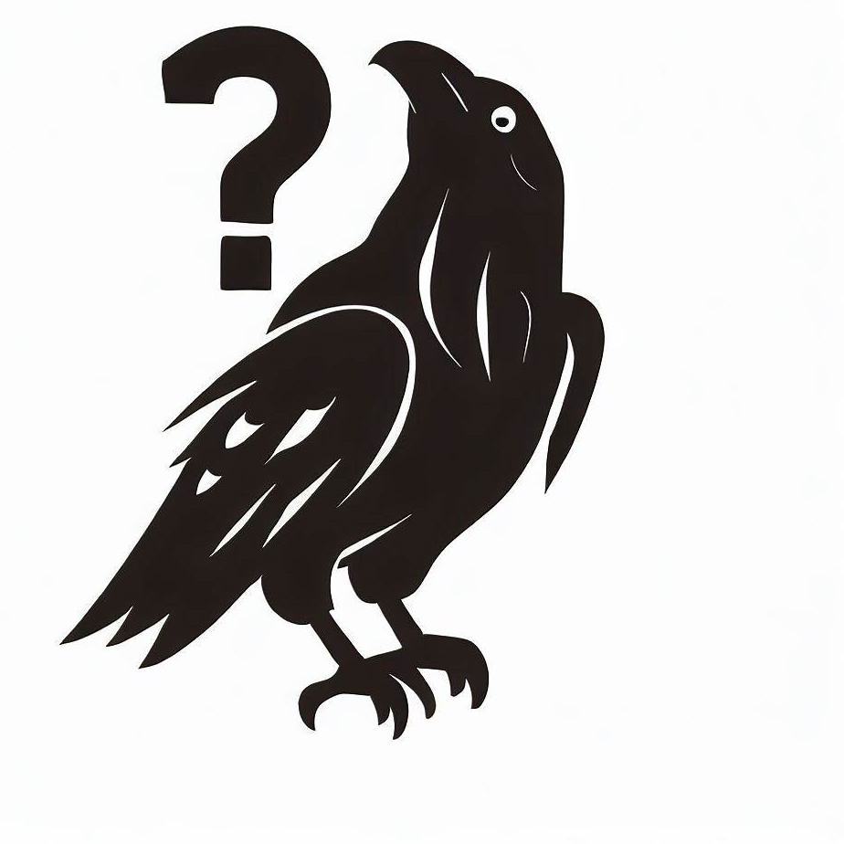 Raven - co to za firma?